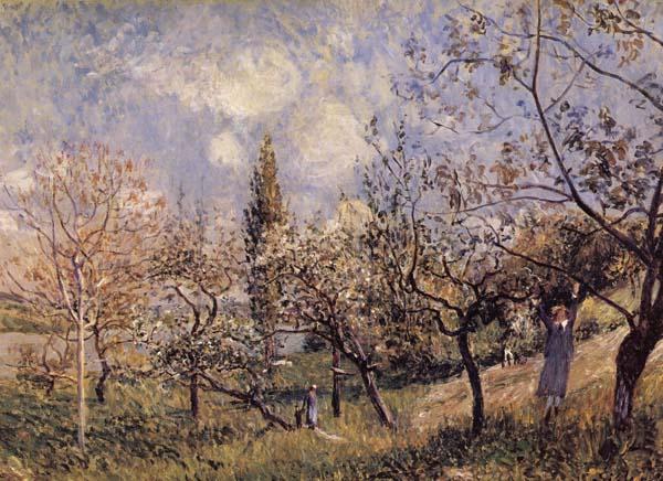 Alfred Sisley Orchard in Sping-By Spain oil painting art